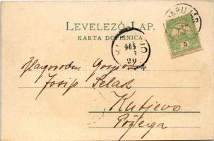 1905 Daruvar, Cur Park / Kup. Perivoj / fürdő park / spa park