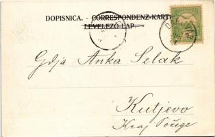 1905 Daruvar, Johannis-Bad / fürdő, teniszpálya / spa, bathhouse, tennis court (EK)