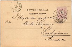 1899 (Vorläufer) Fiume, Rijeka; Hafen und Hotel Europe / kikötő és Európa szálloda, gőzhajók / port,...