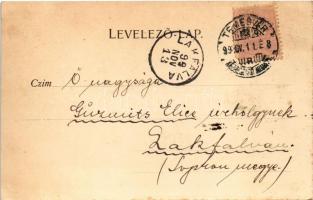 1899 (Vorläufer) Temesvár, Timisoara; Légszeszgyár (gázgyár). Bernárd E. fényképész, Králicsek Béla ...