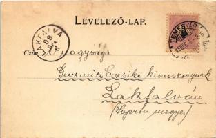 1899 (Vorläufer) Temesvár, Timisoara; Gyárváros, Bega balsor. Králicsek Béla kiadása / Bega riversid...