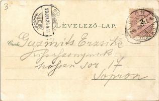 1899 (Vorläufer) Győr, Radó tér, Újváros, Városháza, zsinagóga, híd. Polgár Bertalan kiadása. Art No...