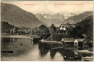 1905 Altaussee (Steiermark), Dachsteinblick