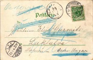 1899 (Vorläufer) Schwelm, Schwelmer Brunnen, Kaiser-Denkmal / general view, spring source, fountain,...