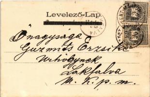 1899 (Vorläufer) Frankfurt am Main, general view. Kunstanstalt Kosmos S. IV. litho (fl)