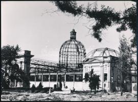 1945 Szendrő István: Budapest, Városliget, a lebombázott Iparcsarnok épülete, pecséttel jelzett fotó 24x16 cm