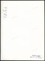 1945 Szendrő István: Budapest, Városliget, a lebombázott Iparcsarnok épülete, pecséttel jelzett fotó...