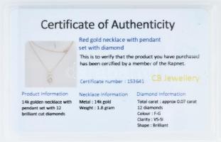 14K arany nyaklánc 12 darab brill gyémánttal ékített függővel
(0,07 ct/VS). Bruttó 1.8 g, 45cm hoss...