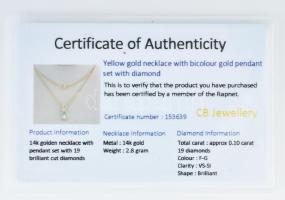 14K sárgaarany nyaklánc, 19 brill gyémánttal ékített függővel
(0,1ct/VS). Bruttó 2.8g, 45cm hosszú,...