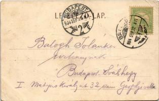 1904 Brassó, Kronstadt, Brasov; látkép / general view (Rb)