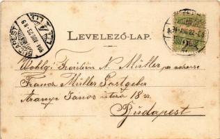 1904 Temesvár, Timisoara; Jenő herceg tér, Turul cipőgyár rt. főraktára, Temesi Agrár Takarékpénztár...