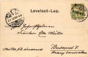 1904 Temesvár, Timisoara; Jenő herceg tér, emlékmű, piac. Morawetz & Weisz kiadása / square, mon...