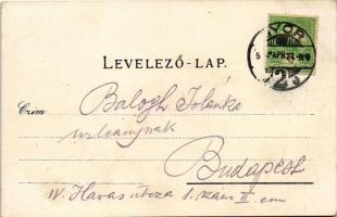 Győr, Rába-part, hajóhíd. Polgár Bertalan kiadása (EK)