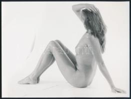 cca 1970 Női műtermi akt, fotó, 18×24 cm