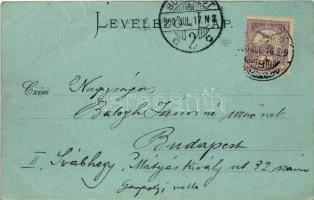 1900 Szolnok, vasúti vashíd