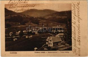 1930 Kolibica, Colibita; Vedere totala / Gesamtansicht / Teljes látkép. Gustav Zikeli kiadása / general view