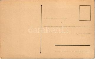 A Magyar Királyi Folyam- és Tengerhajózási Rt. Budapest-Dömösi vonala, térkép / Hungarian river and ...