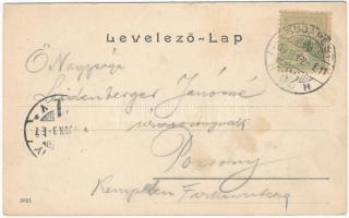 1905 Budapest VIII. Baross utca, Üllői út, Kálvin tér, villamos, gyógyszertár, szökőkút (fl)