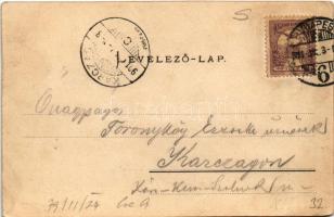 1901 Budapest I. Várhegy. Ganz Antal 33. (EK)