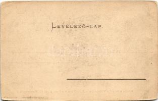 Budapest I. Kilátás a várról a Vízivárosra. Ganz Antal 59. (vágott / cut)