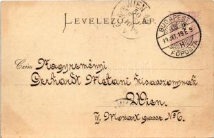 Budapest II. Szent Lukács és Császár fürdő, gőzhajó