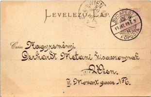 1899 (Vorläufer) Budapest II. Császár fürdő