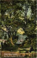 1907 Visegrád, kilátó Nagymarosra Wünsche R. festőművész kertjéből. Zoller József 171. sz. (EK)