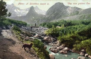 Tátra way to the Green Lake