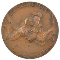 Vincze Dénes (1924-1972) / Manno Miltiadesz (1879-1935) DN Magyar Birkózó Szövetség bronz emlékérem (61mm) T:1-