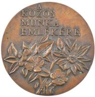 DN A közös munka emlékére egyoldalas bronz emlékérem (93mm) T:1-