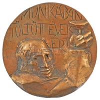 DN "Munkában töltött évekért" egyoldalas bronz emlékérem (100mm) T:1-