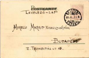 1899 (Vorläufer) Art Nouveau lady. Kunstverlag Emil Dotzert Serie No. 272. Floral, litho