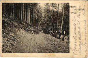 1911 Szamosfő, Maguri; Magurai nyaralótelep, út / holiday resort road (EK)