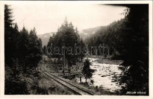 Dregán-völgye, Valea Draganului; vasúti sín / railway track