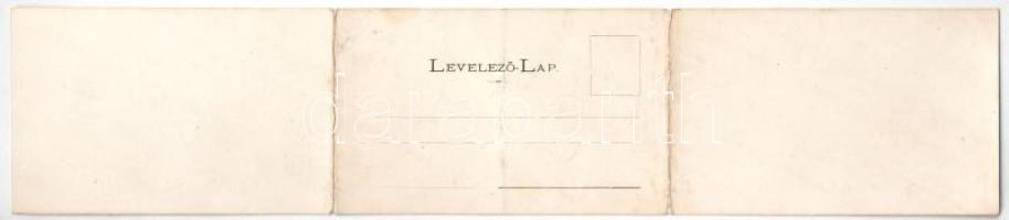 Vajdahunyad, Hunedoara; vasgyár és vár. Tóth Ede kiadása, Honisch udvari fényképész felvétele - Háro...