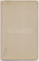 Herkulesfürdő, Baile Herculane; Ártézi kút és József forrás. Emil Jäger / Artesischer Brunnen und Jo...