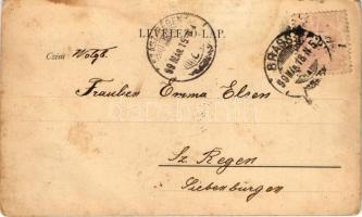 1899 (Vorläufer) Brassó, Kronstadt, Brasov; Gruss aus der Sommerfrische Noa (EK)