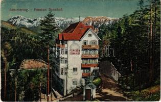 1919 Semmering, Pension Sonnhof / hotel (EB)