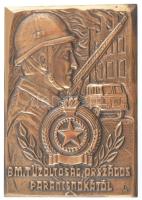 Renner Kálmán (1927-1994) BM. Tűzoltóság Országos Parancsnokától egyoldalas, öntött bronz plakett (120x85mm) T:1-,2