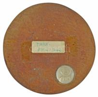 Tornay Endre András (1949-2008) DN "Tánc" bronz emlékérem, hátlapon "160" lemez ...