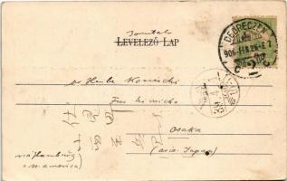 1906 Mezőtúr, Artézi kút, üzletek. Kanyó Antal kiadása. Art Nouveau, foral (fa)