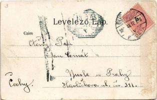 1905 Budapest VI. Andrássy út az Operával. litho (r)