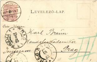 1899 (Vorläufer) Könyöki Ella, Budapest. Johannes Haecke kiadása (apró szakadás / tiny tear)