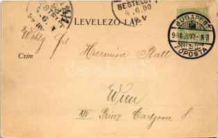 1900 Budapest I. Királyi vár. Walter Haertel No. 1709. (EK)