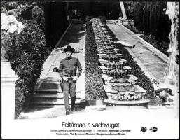 cca 1973 ,,Feltámad a vadnyugat" című amerikai kalandfilm jelenetei és szereplői, 7 db vintage ...