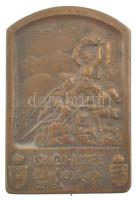 Osztrák-Magyar Monarchia 1915. Isonzó-hadsereg 1915 bronz sapkajelvény, hátoldalán G. HERRMANN WIEN III. HAUPSTR. 81 gyártói jelzéssel (44x30mm) T:1  Austro-Hungarian Monarchy 1915. Isonzo-Armee 1915 marked Ag cap badge with G. HERRMANN WIEN III. HAUPSTR. 81 makers mark on the back (44x30mm) C:UNC