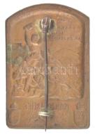 Osztrák-Magyar Monarchia 1915. "Isonzó-hadsereg 1915" bronz sapkajelvény, hátoldalán "...