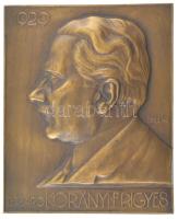 Csillag István (1881-1968) 1929. Dr. Báró Korányi Frigyes egyoldalas bronz plakett (68x55mm) T:2 több ü. HP.: 1777.