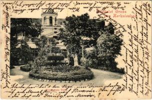 1901 Herkulesfürdő, Baile Herculane; Miramonte villa. Emil Jäger kiadása (fa)