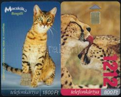 2002-2003 MATÁV macskák telefonkártya, 2 db, egyik csak 2000 példányos